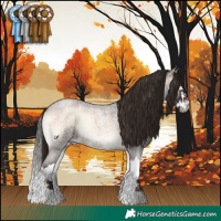 Horse Color:Liver Red Onyx Roan Splash 
