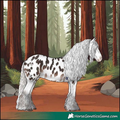 Horse Color:Liver Chestnut Mushroom Appaloosa Rabicano