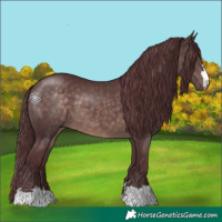 Horse Color:Platinum Chocolate Brown 