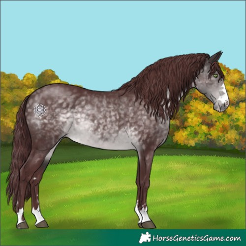 Horse Color:Platinum Chocolate Buckskin 