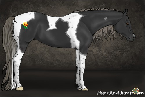 Horse Color:Liver Chestnut Mushroom Tobiano 