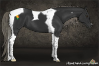 Horse Color:Liver Chestnut Mushroom Tobiano 