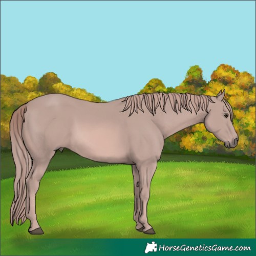 Horse Color:Platinum Chestnut 
