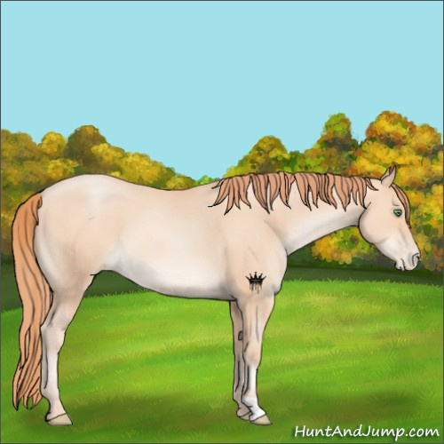 Horse Color:Classic Champagne Pearl 