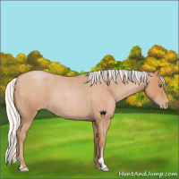 Horse Color:Silver Blue Roan Pearl 