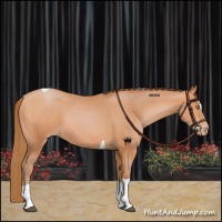 Horse Color:Bay Pearl Sabino Tobiano 