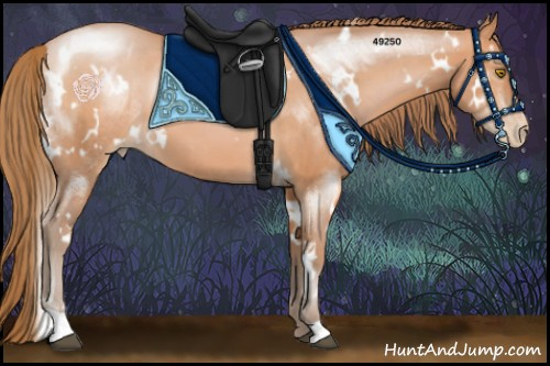 Horse Color:White Spotted Bay Pearl 