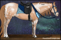 Horse Color:White Spotted Bay Pearl 