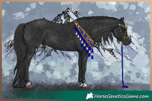 Horse Color:Black 