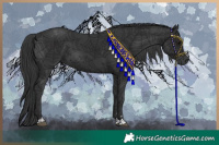 Horse Color:Black 
