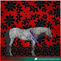 Horse Color:Blue Roan 