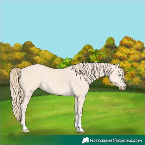 Horse Color:Perlino 