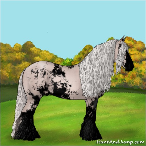 Horse Color:Void Platinum Silver Sable Champagne Sabino