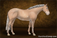 Horse Color:Silver Amber Champagne Frame 
