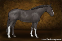 Horse Color:Smoky Blue Roan 