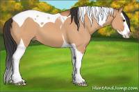 Horse Color:Bay Dun Splash Tobiano 