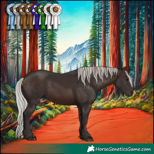 Horse Color:Silver Brown 