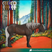 Horse Color:Silver Brown 