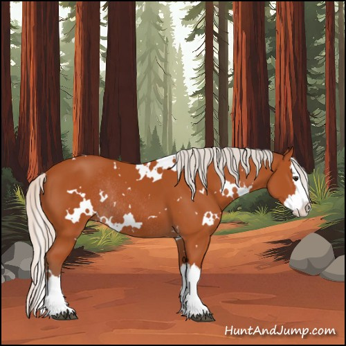 Horse Color:White Spotted Silver Bay Sabino Splash Rabicano 