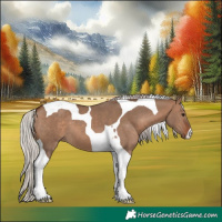 Horse Color:Silver Brown Dun Tobiano 