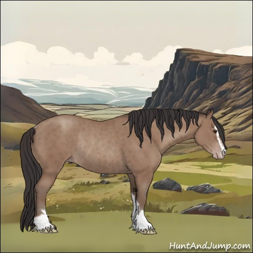 Horse Color:Classic Champagne Sabino Rabicano 