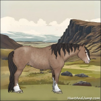 Horse Color:Classic Champagne Sabino Rabicano 