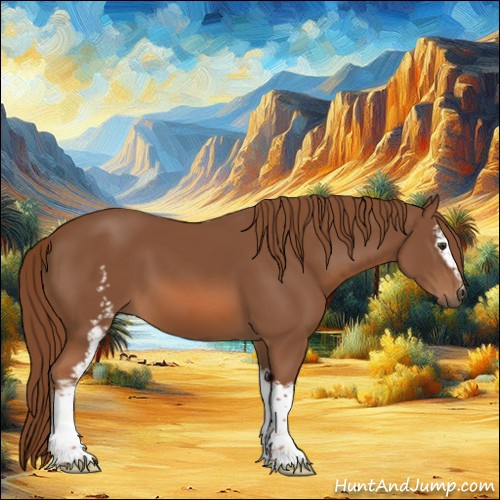 Horse Color:White Spotted Chestnut 