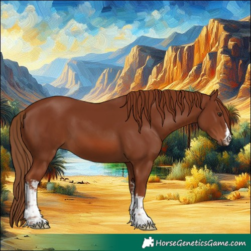 Horse Color:White Spotted Chestnut 