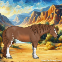 Horse Color:White Spotted Chestnut 