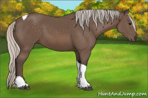 Horse Color:Silver Black Tobiano 