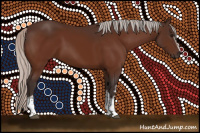 Horse Color:White Spotted Silver Bay 