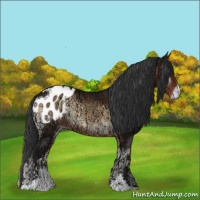 Horse Color:Brown Ice Onyx Sabino Blanket Rabicano