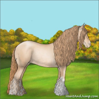 Horse Color:Gold Champagne Pearl Tobiano Rabicano and Gold Champagne Pearl Rabicano