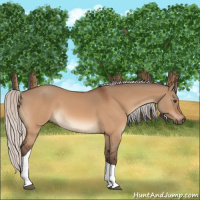 Horse Color:Silver Brown Dun Tobiano 