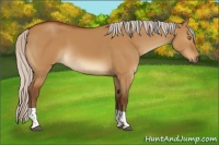 Horse Color:Silver Buckskin Dun Tobiano 