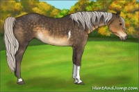 Horse Color:Silver Smoky Black Tobiano