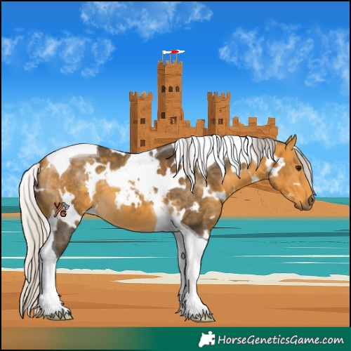 Horse Color:White Spotted Silver Buckskin Tobiano 