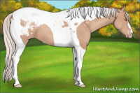 Horse Color:Silver Classic Champagne Tobiano Appaloosa 