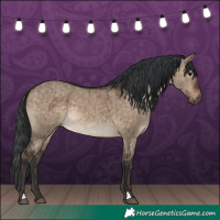 Horse Color:Brown Dun Brindle