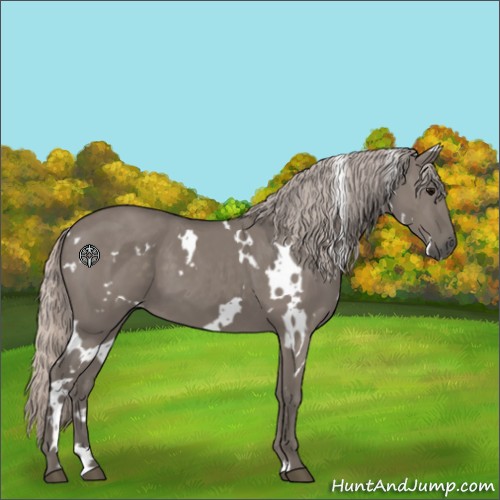 Horse Color:White Spotted Silver Grullo 