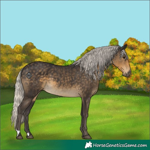 Horse Color:Silver Smoky Black 