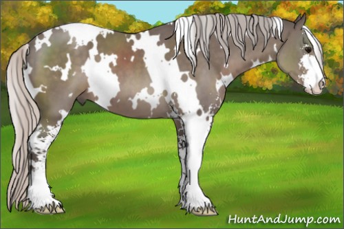 Horse Color:White Spotted Silver Black Sabino 