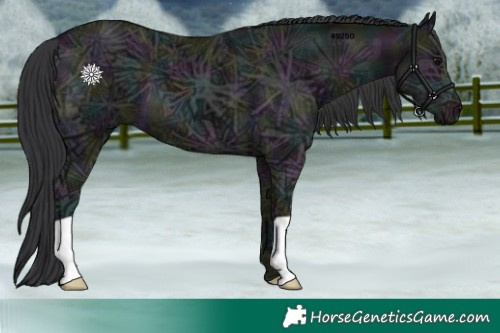 Horse Color:Midnight Black Ice 