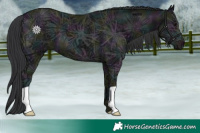 Horse Color:Midnight Black Ice 