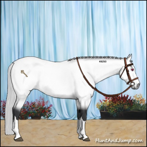 Horse Color:Silver Bay Chinchilla