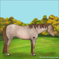 Horse Color:Liver Red Roan Pearl 