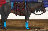 Horse Color:Brown Tobiano Rabicano