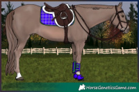 Horse Color:Platinum Chestnut 