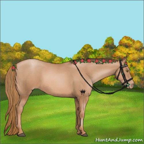 Horse Color:Chestnut Pearl