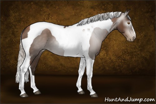Horse Color:Gray Silver Black Pearl Tobiano 